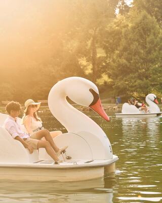 A couple enjoys a peaceful moment on a swan-shaped paddle boat, surrounded by a serene lake and other swan boats under warm sunlight.