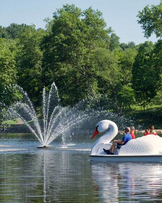 A paddle boat shaped like a swan glides through a calm lake, with a fountain spraying in the background amid lush greenery.