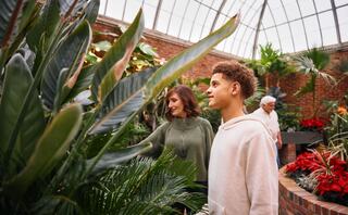 A young boy and a woman are admiring plants in a lush greenhouse, while an older person observes nearby amidst vibrant foliage.