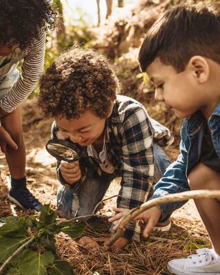 Three children explore nature, examining plants and insects with curiosity using a magnifying glass in a sunny, wooded environment.