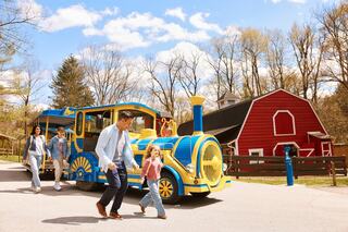 A close-up of a cheetah with distinct spots and striking eyes, showcasing its majestic and focused expression in a natural setting.