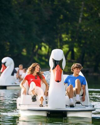 A woman in a red top and a man in a blue shirt enjoy a swan-shaped paddle boat on calm waters, surrounded by greenery.