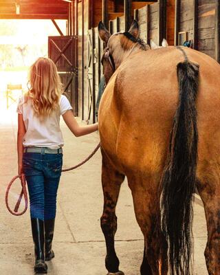 A girl walks alongside a horse in a barn, holding a lead rope, showcasing a moment of companionship and connection with the animal.