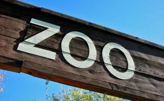 A wooden sign with large white letters spelling "ZOO" against a clear blue sky. Bright greenery is visible below.