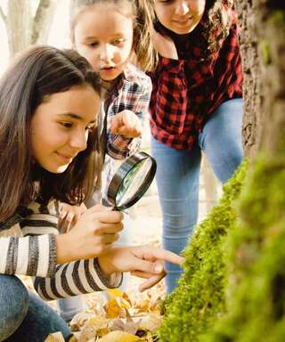 Three girls explore nature, using a magnifying glass to examine moss on a tree trunk, filled with curiosity and wonder.