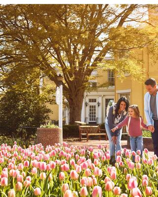 A family admires vibrant tulips in a sunny garden, surrounded by lush trees and a charming building, creating a joyful, serene atmosphere.