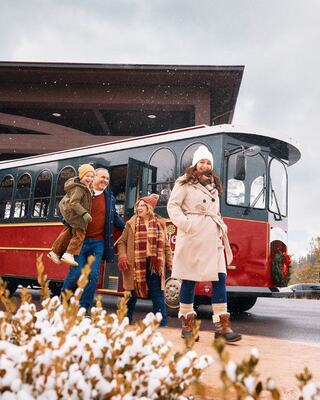 A child in a blue jacket skis confidently down a slope, while an adult in black follows closely, both enjoying a snowy day outdoors.