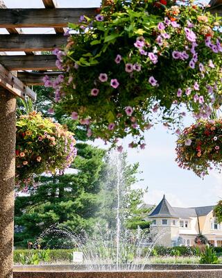 Vibrant hanging flower baskets frame a bubbling fountain, surrounded by lush greenery and a charming architectural backdrop.