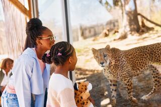 A woman and a girl, holding a stuffed animal, marvel at a cheetah behind glass at a zoo, enjoying a fascinating wildlife encounter.