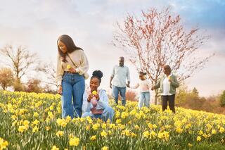 trees in bloom on the walking trail