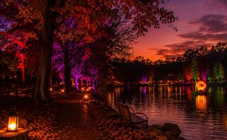 Schenk Lake at dusk, illuminated by colorful lights on trees, with lanterns lining a picturesque, leaf-strewn path.