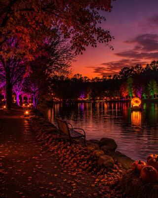 Schenk Lake at twilight, with colorful lights illuminating trees, pumpkins lining the path, and vibrant autumn foliage.