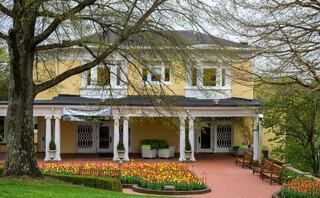 A charming yellow building features a welcoming porch, surrounded by colorful tulips and lush greenery, inviting relaxation and enjoyment.