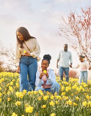 A joyful family enjoys a sunny day in a blooming field of yellow flowers, sharing laughs and creating memories together.