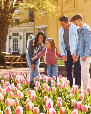 A family admires blooming pink tulips together in a sunny park, sharing smiles and a joyful moment.