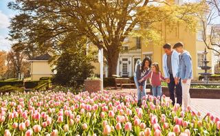A family enjoys a sunny day in a garden filled with blooming pink tulips, sharing smiles and moments together.