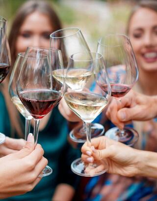 Glasses of red and white wine are raised in a cheerful toast, celebrating friendship and good times among a group of women.