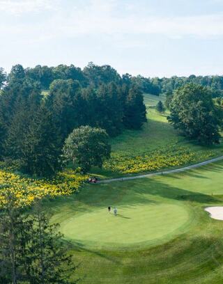 Two golfers on a lush green course surrounded by trees and vibrant wildflowers, with a path winding through the scenic landscape.