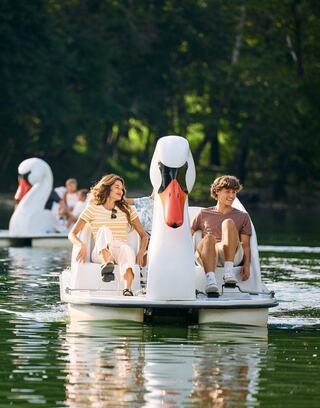 A couple enjoys a leisurely ride on a swan-shaped paddle boat amidst a serene lake, surrounded by lush greenery.