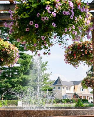 Colorful hanging flower baskets frame a sparkling fountain, with lush greenery and a charming building in the background.