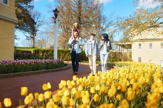 A family enjoys a sunny day walking along a path adorned with vibrant yellow and pink tulips, creating a joyful and colorful scene.