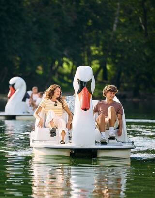 A couple enjoys a leisurely ride on swan-shaped paddle boats, surrounded by serene water and lush greenery.