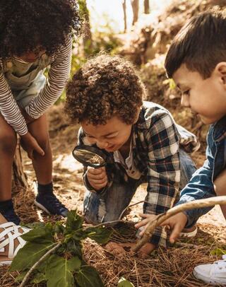 Three children explore nature, examining plants and insects with a magnifying glass, immersed in curiosity and discovery.