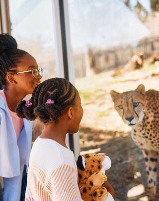 Two young girls, one holding a stuffed cheetah, gaze in awe at a real cheetah through a glass window, enjoying a fascinating moment together.