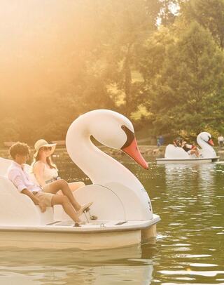 A couple enjoys a sunny day on a swan-shaped paddle boat, surrounded by greenery and other similar boats on a serene lake.