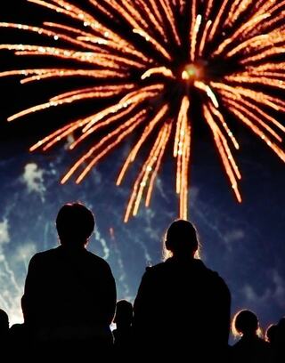 Silhouetted figures watch vibrant fireworks exploding against a night sky, creating a magical and festive atmosphere.