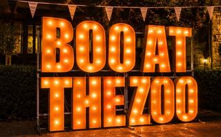 Large illuminated letters spell out "BOO AT THE ZOO" amidst a nighttime setting, creating a festive Halloween atmosphere.
