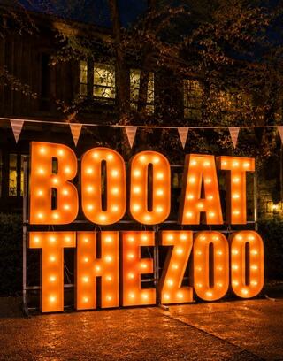 Brightly lit sign reading "BOO AT THE ZOO" at night, surrounded by festive bunting, creating a fun and inviting atmosphere.
