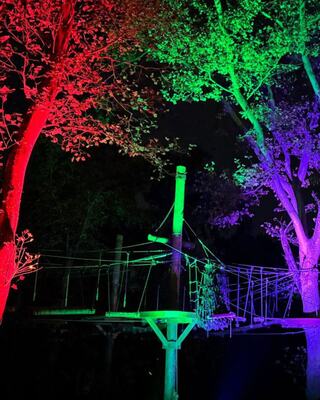 A vibrant, illuminated ropes course at Oglebay glows in red and green hues, surrounded by lush trees under the night sky.