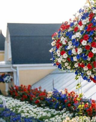 Vibrant flower baskets in red, white, and blue hang above a lush walkway at Oglebay, creating a colorful and picturesque scene under a clear sky.