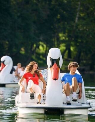 A couple enjoys a fun ride on a pedal swan boat in a serene, green park with others in the background. Laughter and joy abound.