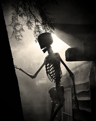 A skeletal figure stands silhouetted against a smoky backdrop, illuminated by a mysterious light, creating an eerie, atmospheric scene.