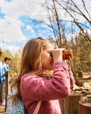 A girl in a pink sweater looks through binoculars, standing near a wooden railing, with trees and a blue sky in the background.