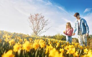 A boy and girl joyfully walk hand in hand through a vibrant field of blooming daffodils under a clear blue sky.