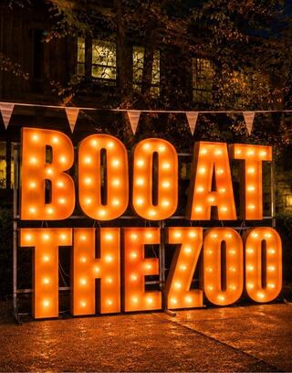 Brightly lit sign spells "BOO AT THE ZOO" amidst a festive atmosphere, a Halloween event at Oglebay Good Zoo.