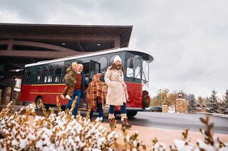 A serene winter scene with snow-covered trees flanking a bubbling creek, reflecting the tranquil beauty of a snowy landscape.