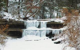 A serene winter scene features a frozen waterfall cascading over layered rocks, surrounded by snow-covered ground and frosted trees.