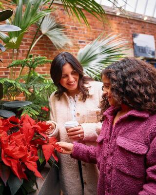 Two women admire vibrant red poinsettias in a lush indoor garden, sharing smiles and warmth on a joyful outing. A cozy atmosphere surrounds them.
