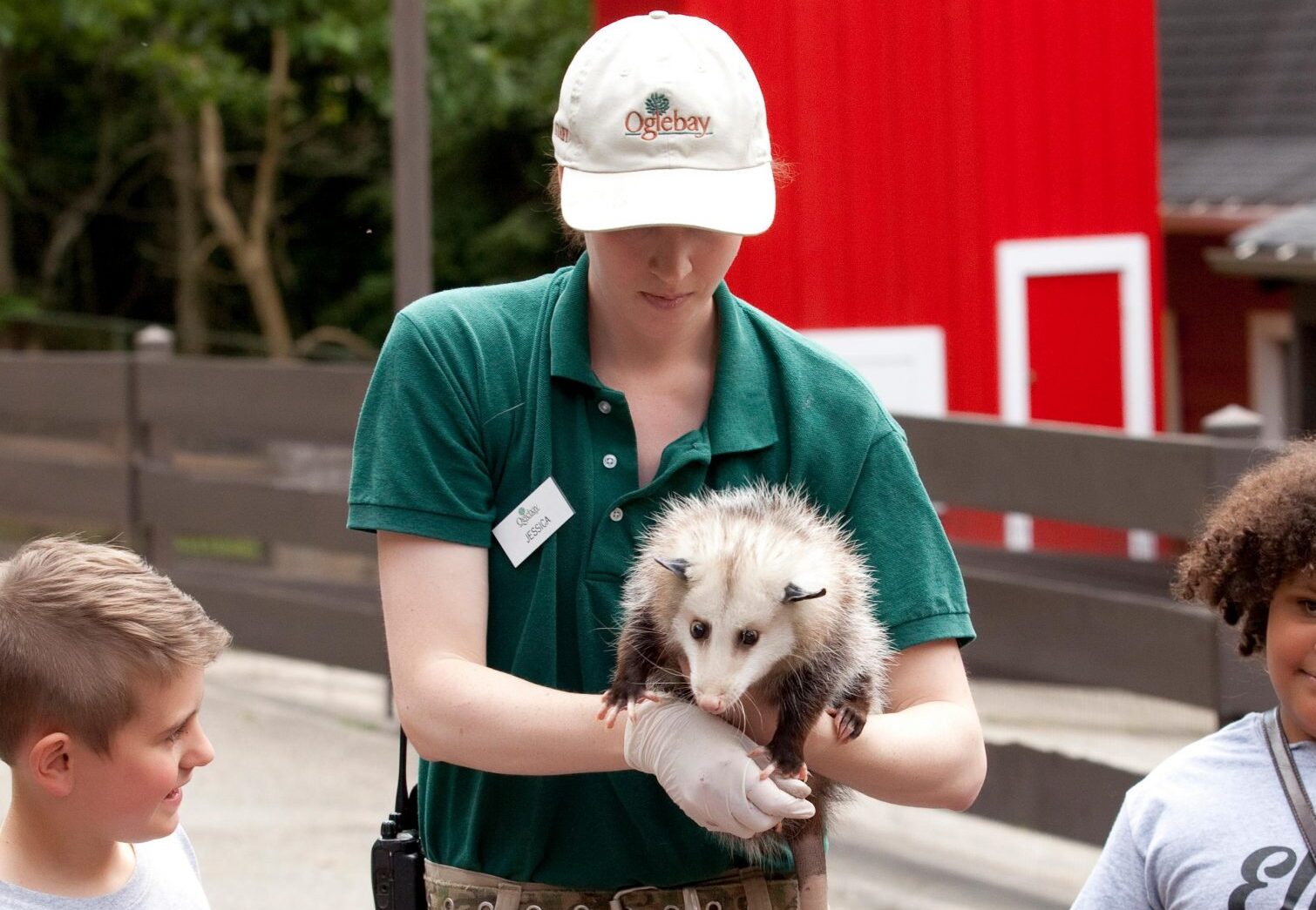 Zookeeper for a Day photo