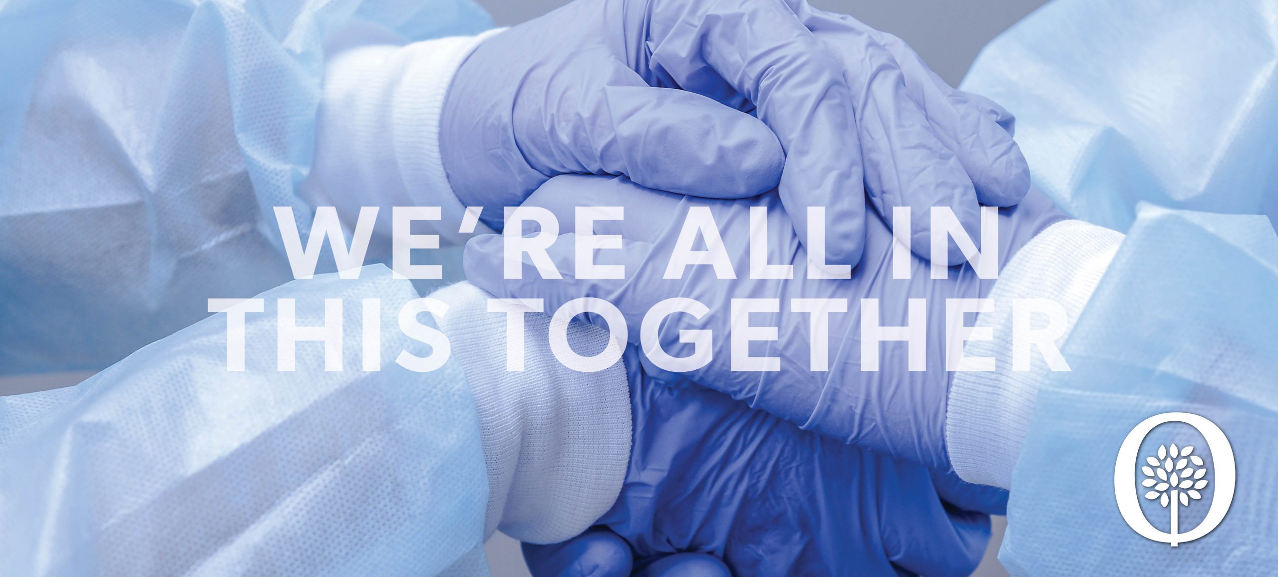 We’re All In This Together header photo