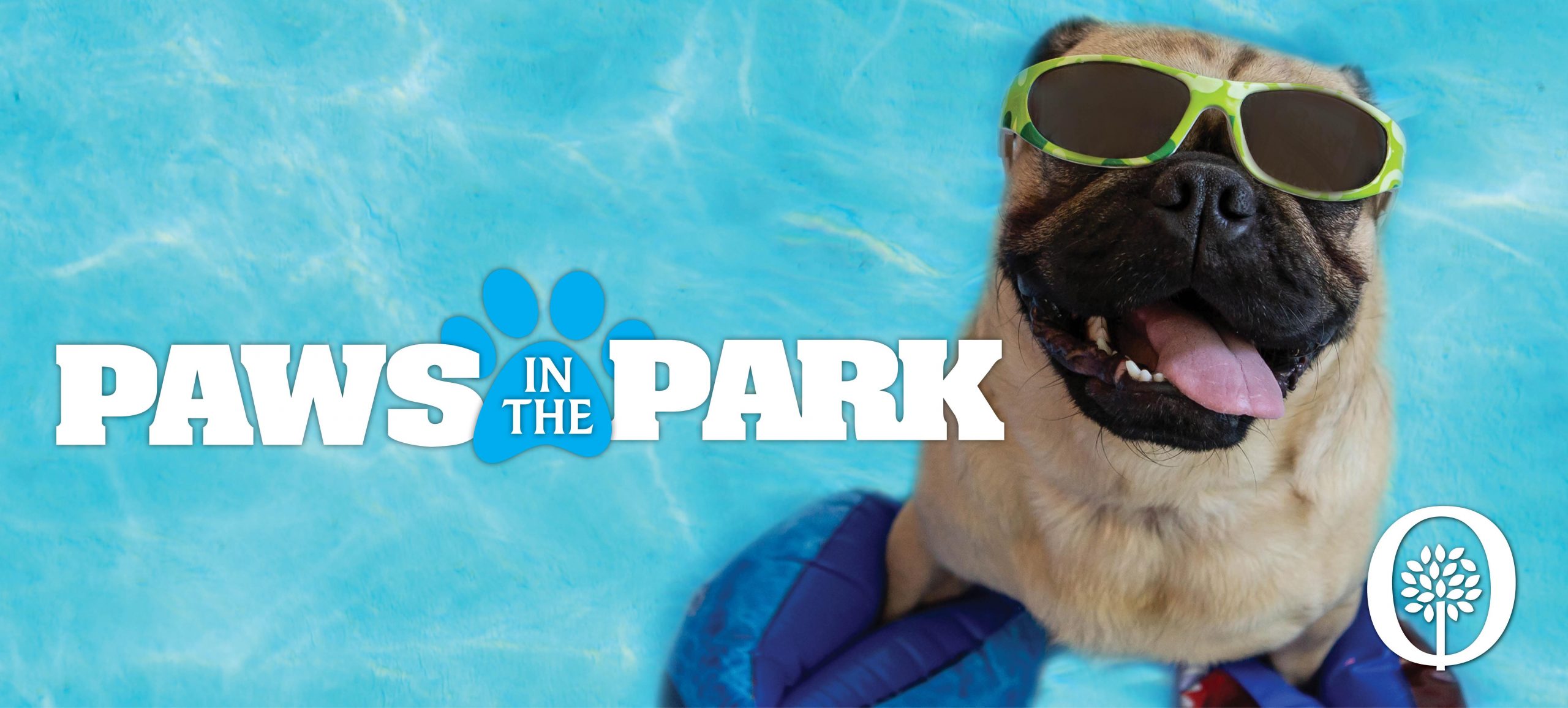 Paws In The Park header photo