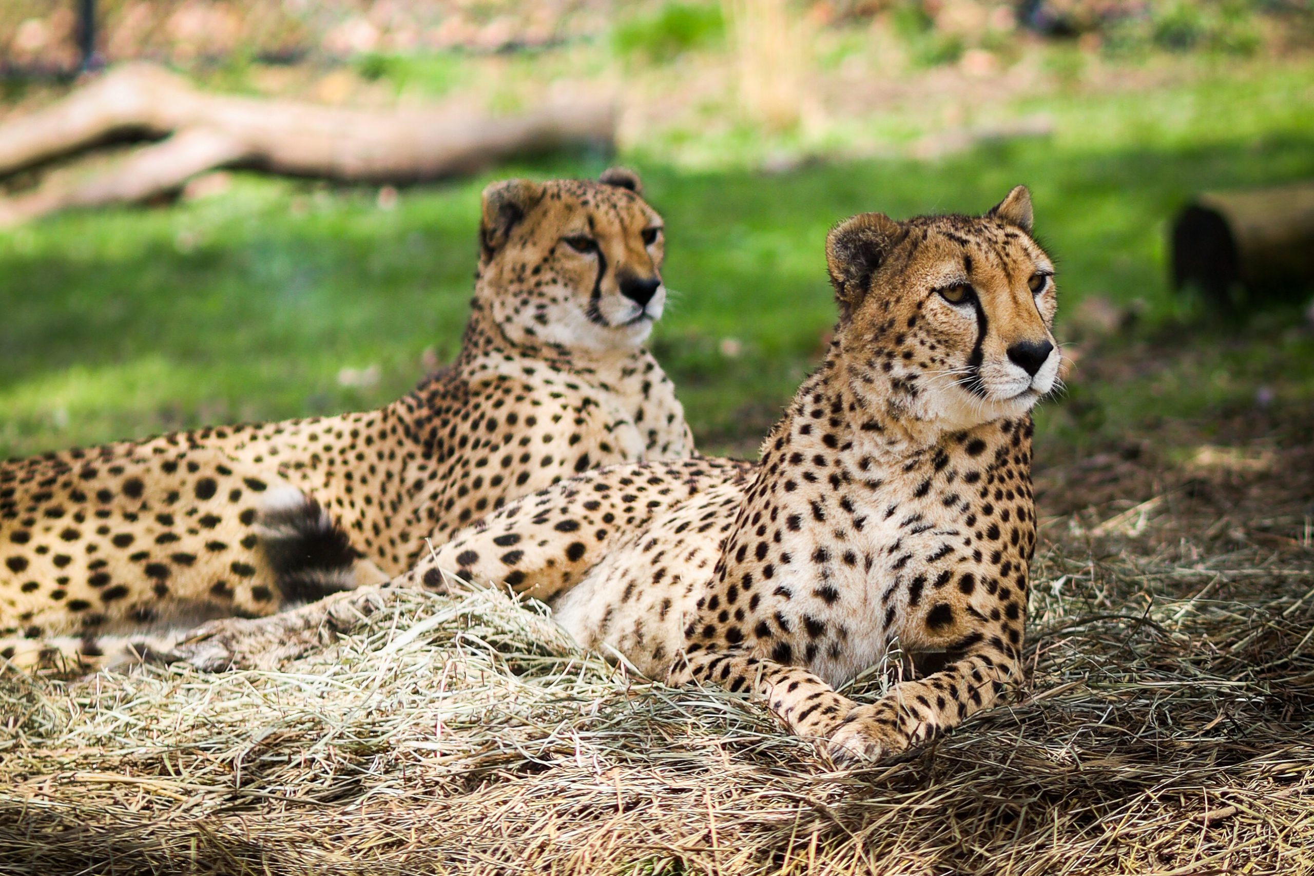 Zoo Hours & Admission header photo