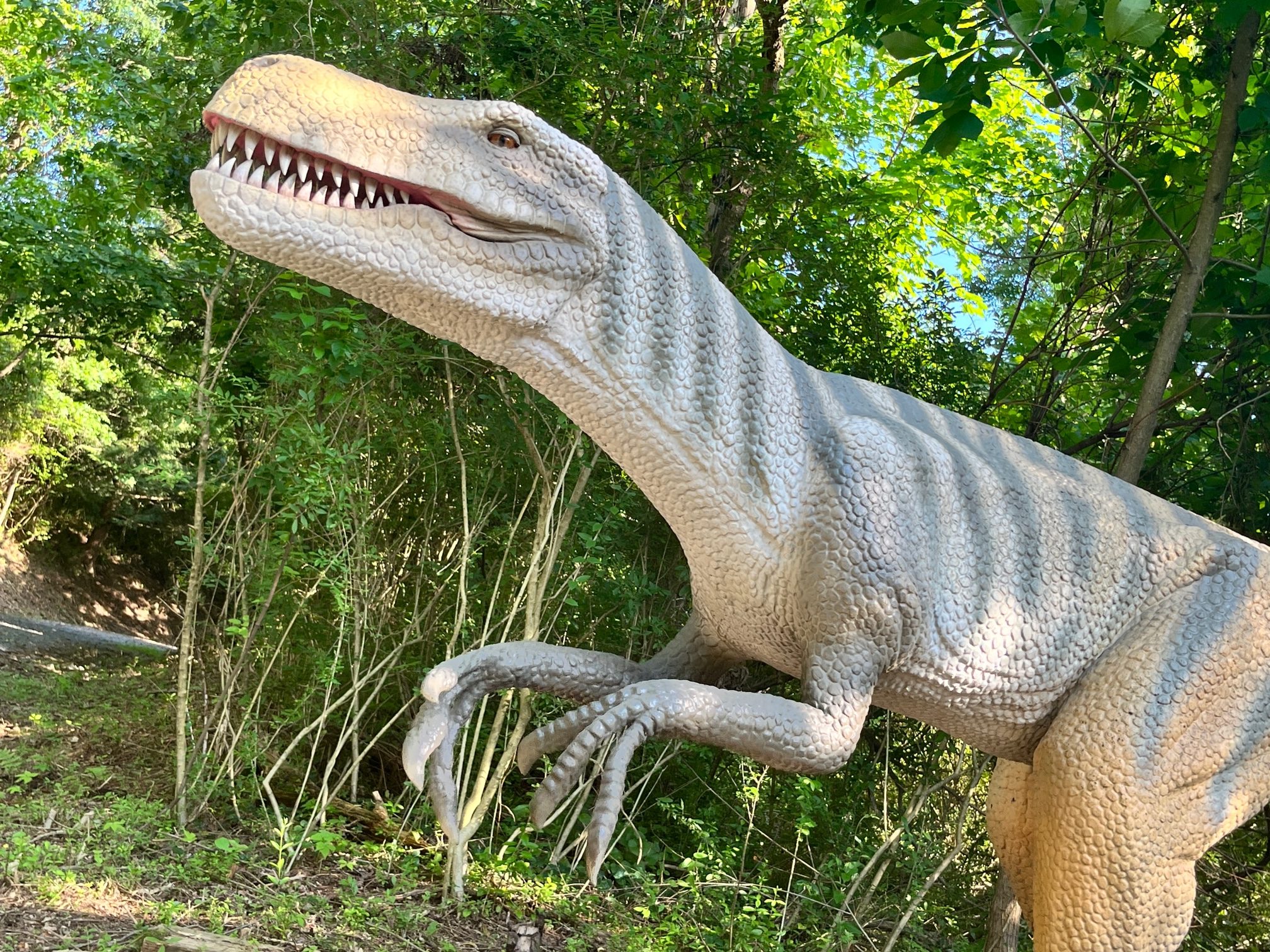 Dinosaur Safari photo