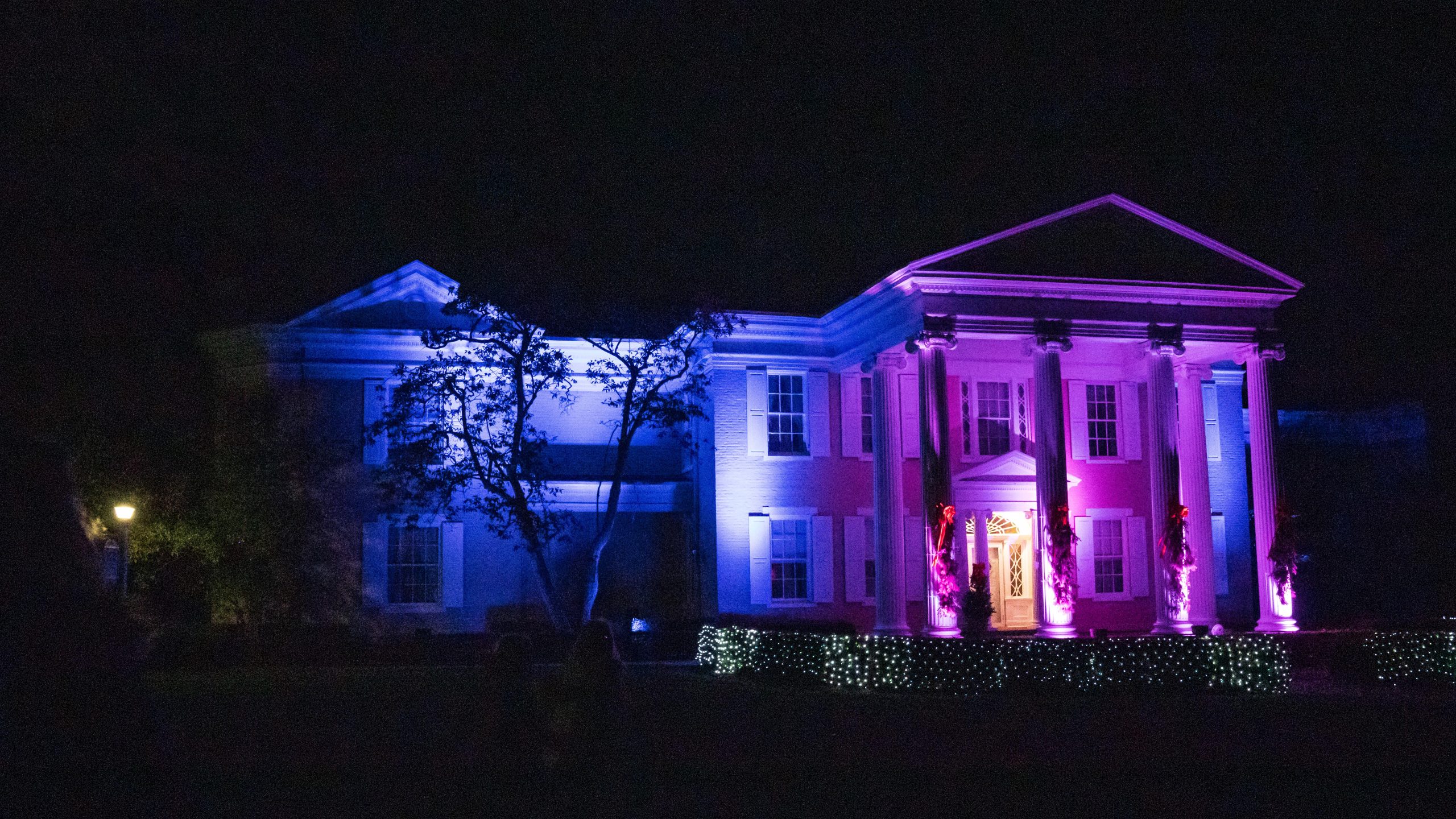 Magical Mansion Light Show photo