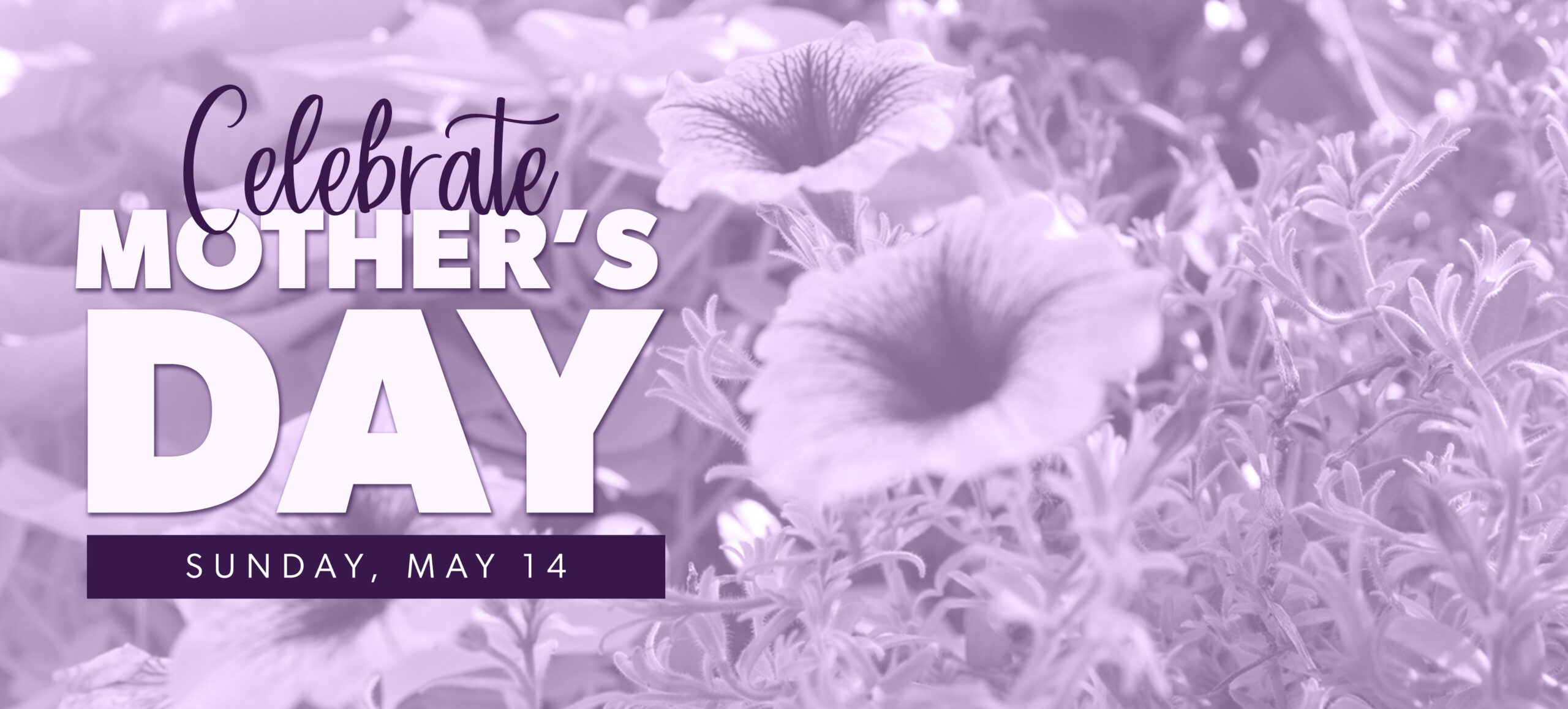 Celebrate Mother’s Day header photo