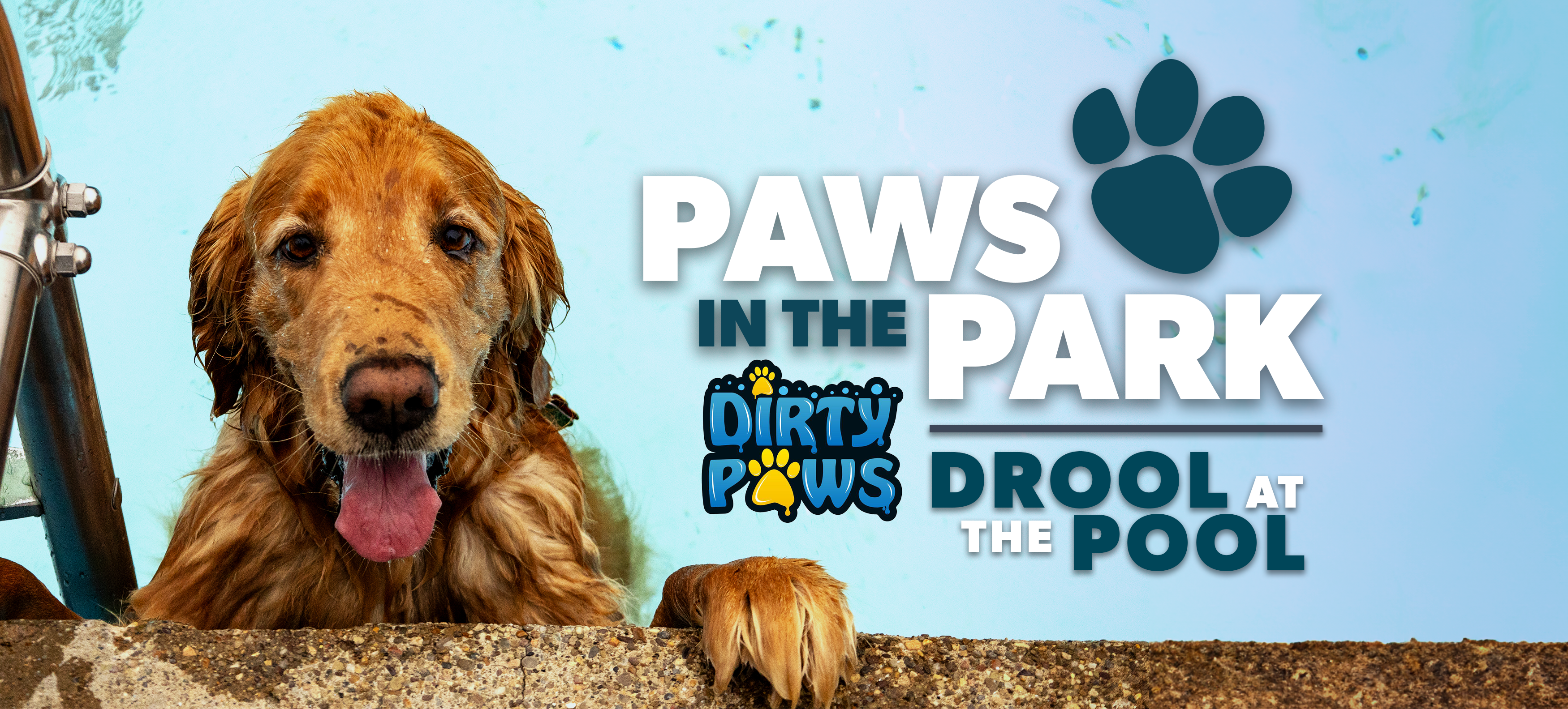Paws In The Park header photo